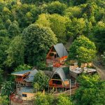 5 Incredible Treehouse Hotels Around the World