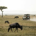 5 Underrated African Safari Destinations