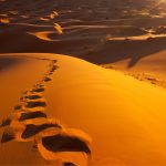 Desert Destinations