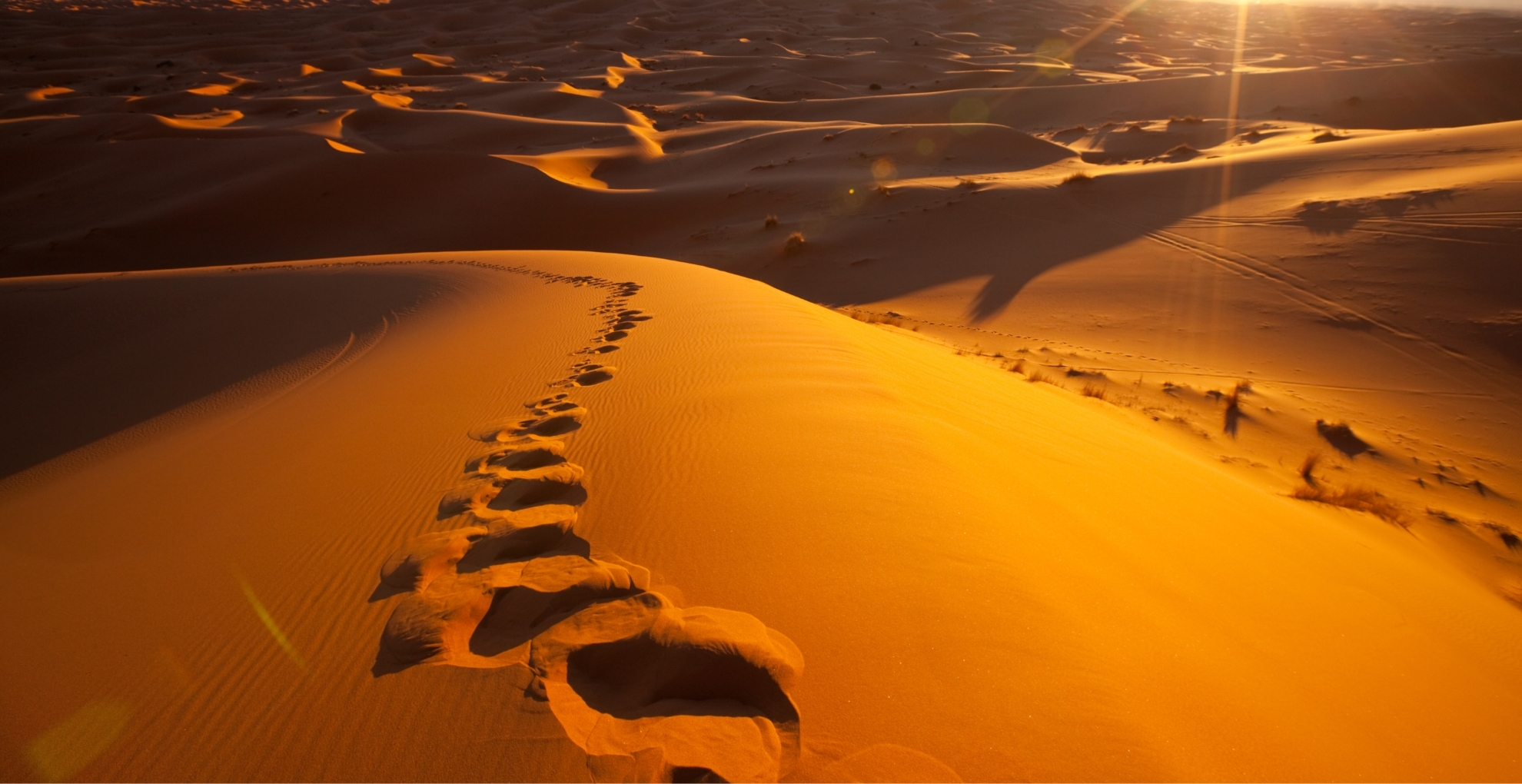 Desert Destinations