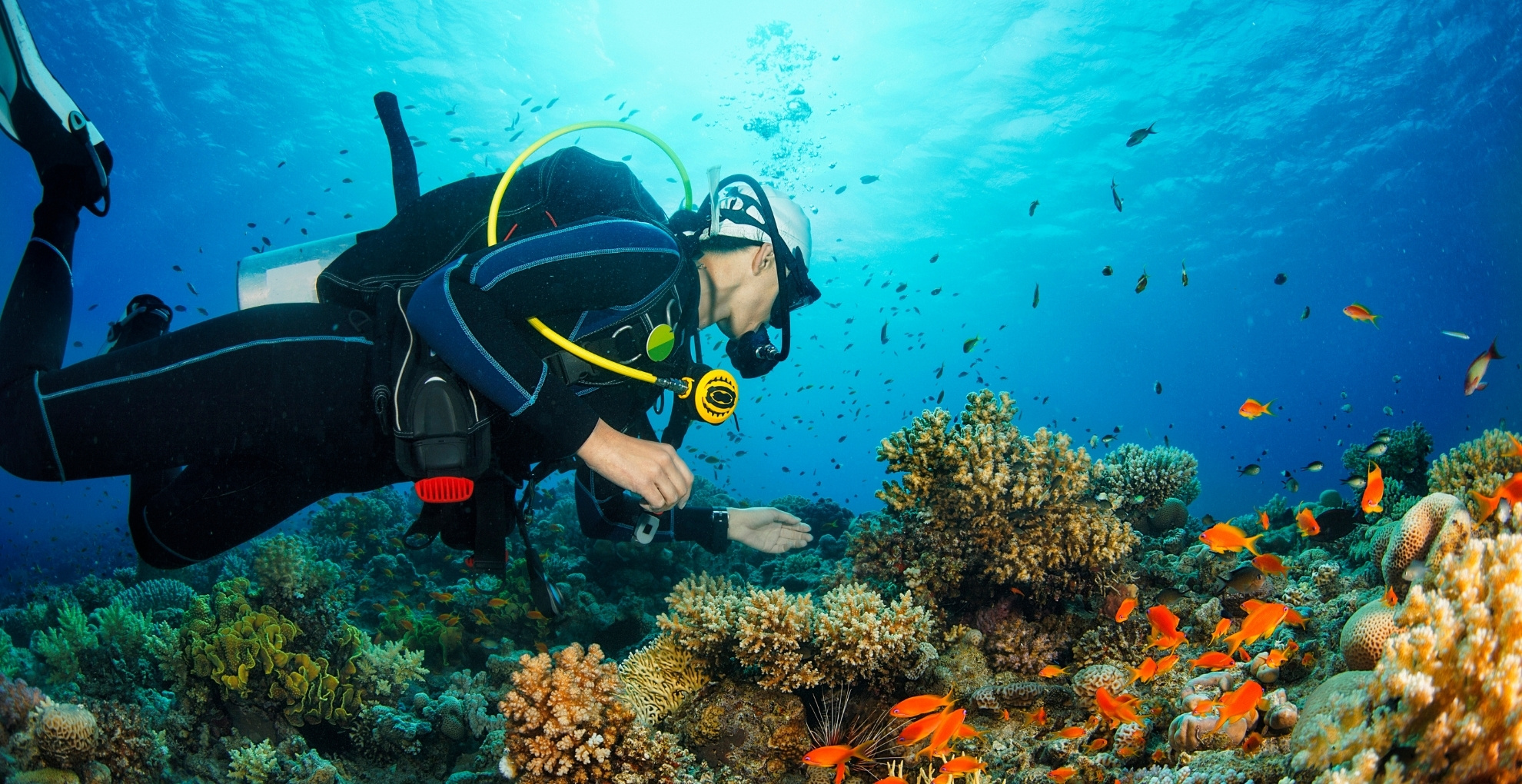 Destinations for Scuba Diving
