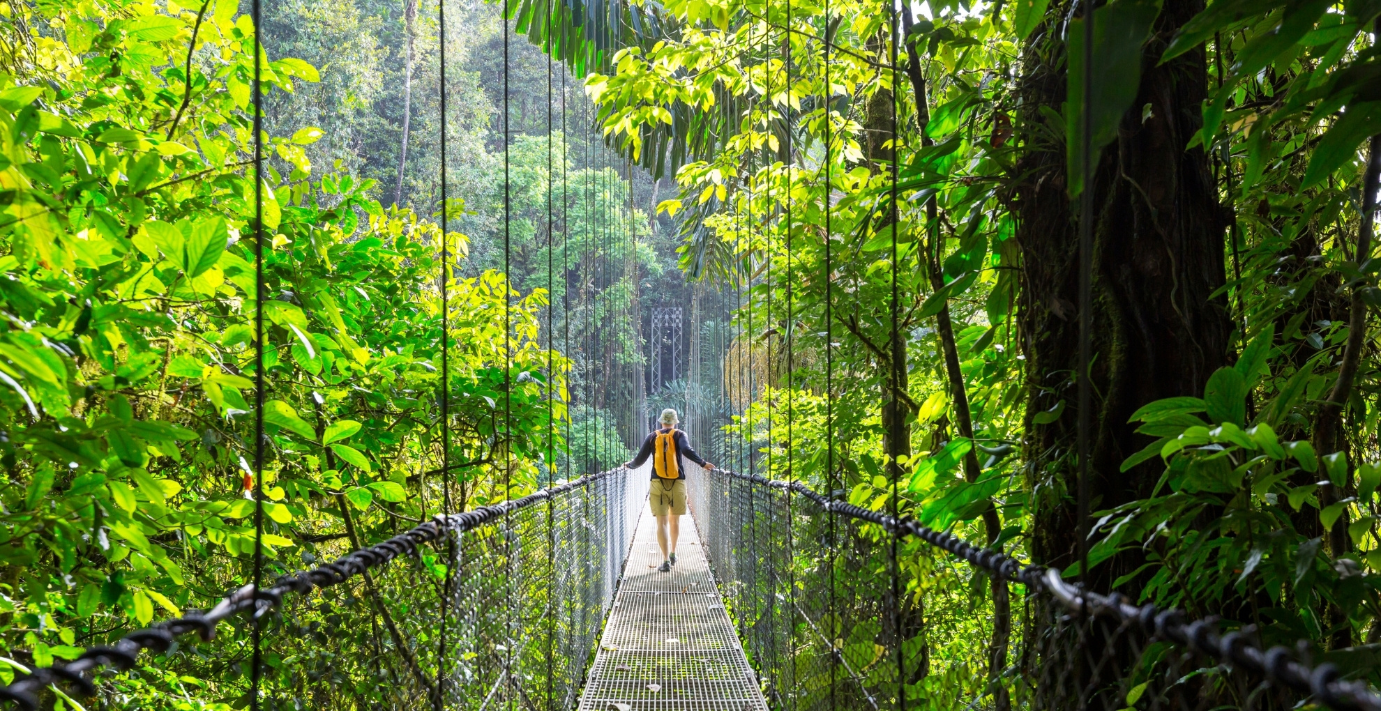 Eco-Friendly Lodges in Costa Rica