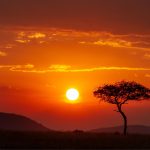 Plan a Safari in Tanzania