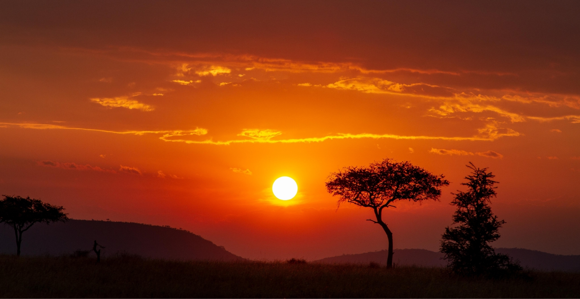 Plan a Safari in Tanzania