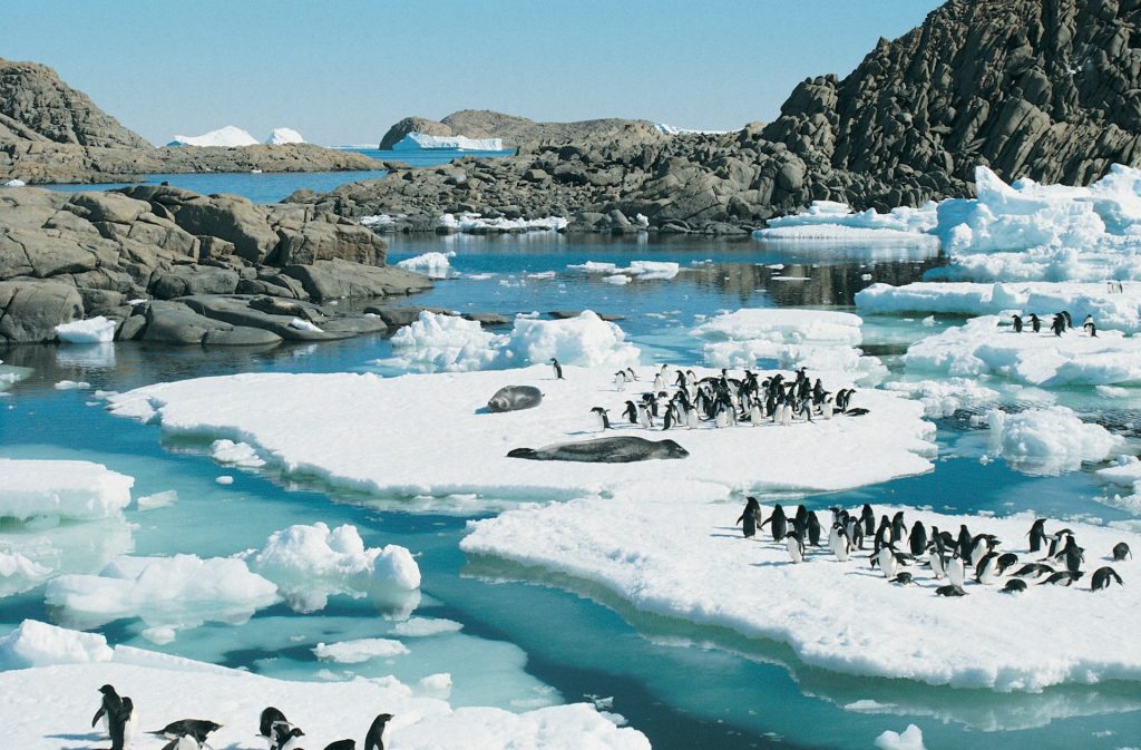 How to Plan a Budget-Friendly Trip to Antarctica