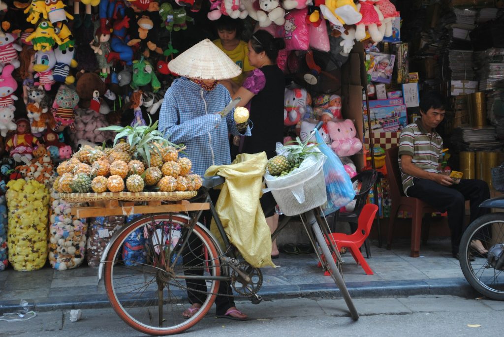 10 Must-Try Street Foods in Vietnam