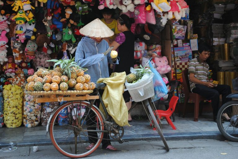 10 Must-Try Street Foods in Vietnam